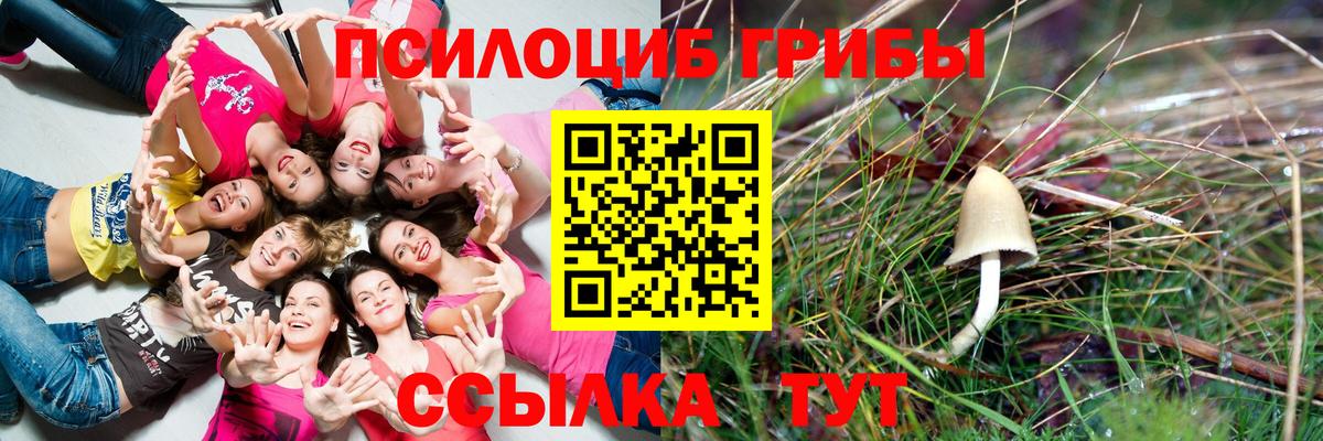 Галлюциногенные грибы ЛСД Белая Калитва